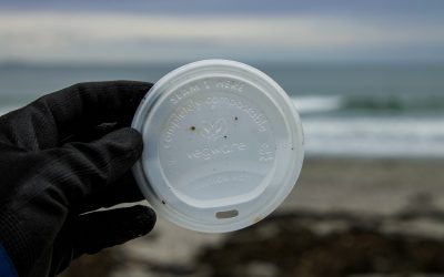 The Problem with Bioplastics