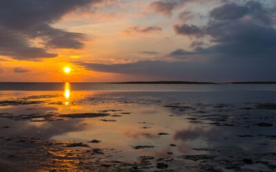 8 Facts You Didn’t Know About the Wadden Sea