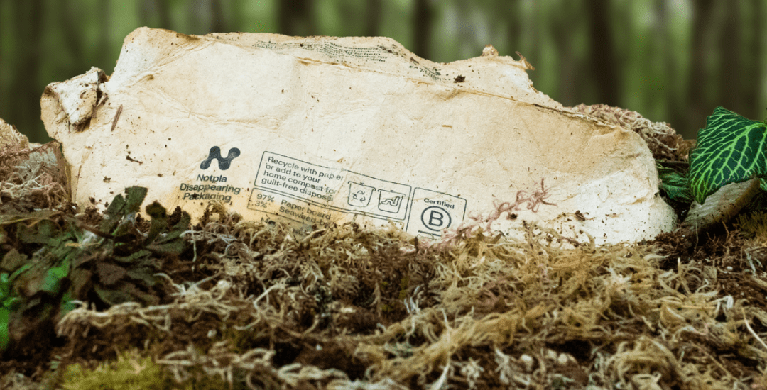 5 Game-Changing Plastic-Free Innovators You Should Know About